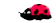 Käfer